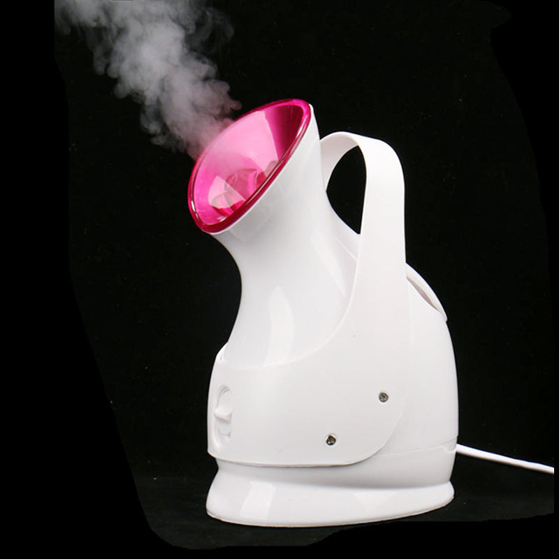 Nano Ion Facial Beauty Steamer Device
