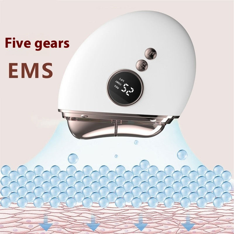 High Frequency EMS LED Heat Therapy Massager