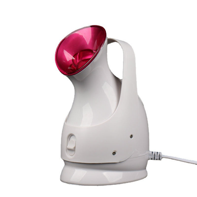 Nano Ion Facial Beauty Steamer Device